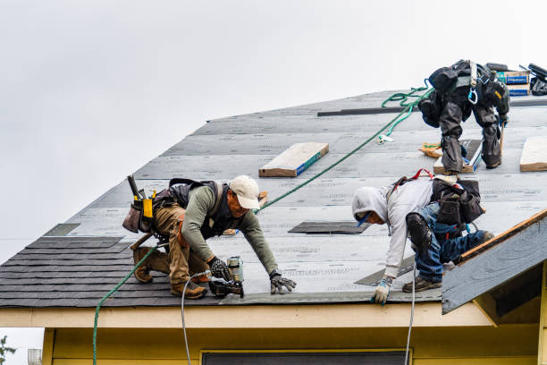 Professional Gutter Installation technician working in Rumney, NH